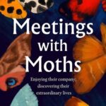 خرید و دانلود نسخه کامل کتاب Meetings with Moths: Discovering their Mystery and Extraordinary Lives