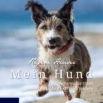 خرید و دانلود نسخه کامل کتاب Mein Hund – So fotografieren Sie Ihren Liebling mal ganz anders: Fotografie al dente
