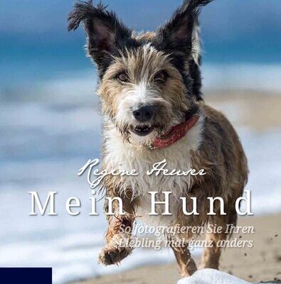 خرید و دانلود نسخه کامل کتاب Mein Hund – So fotografieren Sie Ihren Liebling mal ganz anders: Fotografie al dente