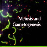 خرید و دانلود نسخه کامل کتاب Meiosis and Gamteogenesis