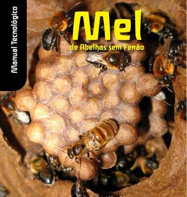 خرید و دانلود نسخه کامل کتاب Mel de abelhas nativas