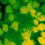 خرید و دانلود نسخه کامل کتاب Membrane Protein Protocols