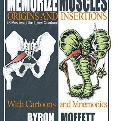 خرید و دانلود نسخه کامل کتاب Memorize Muscles, Origins, and Insertions with Cartoons and Mnemonics: 46 Muscles of the Lower Quadrant – Orginal pdf