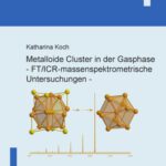 خرید و دانلود نسخه کامل کتاب Metalloide Cluster in der Gasphase – FT ICR-massenspektrometrische Untersuchungen  German