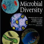 خرید و دانلود نسخه کامل کتاب Microbial Diversity: Form and Function in Prokaryotes