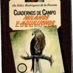 خرید و دانلود نسخه کامل کتاب Milanos y aguiluchos