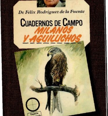 خرید و دانلود نسخه کامل کتاب Milanos y aguiluchos