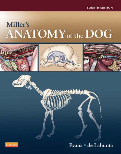 خرید و دانلود نسخه کامل کتاب Miller’s Anatomy of the Dog_68e7bb7329018.jpeg خرید و دانلود نسخه کامل کتاب Miller’s Anatomy of the Dog