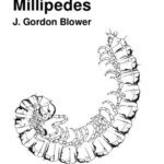 خرید و دانلود نسخه کامل کتاب Millipedes. Keys and notes for the identification of the species