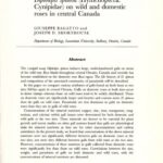 خرید و دانلود نسخه کامل کتاب Mineral nutrition of galls induced by Diplolepis spinosa (Hymenoptera” Cynipidae) on wild and domestic roses in central Canada