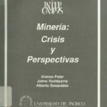 خرید و دانلود نسخه کامل کتاب Minería: Crisis y permanencia