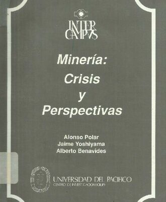 خرید و دانلود نسخه کامل کتاب Minería: Crisis y permanencia