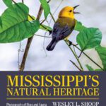 خرید و دانلود نسخه کامل کتاب Mississippi’s Natural Heritage: Photographs of Flora and Fauna