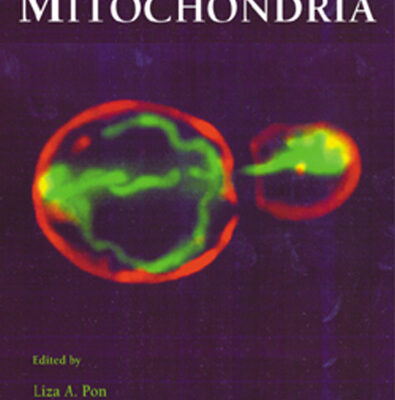 خرید و دانلود نسخه کامل کتاب Mitochondria