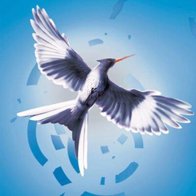 خرید و دانلود نسخه کامل کتاب Mockingjay
