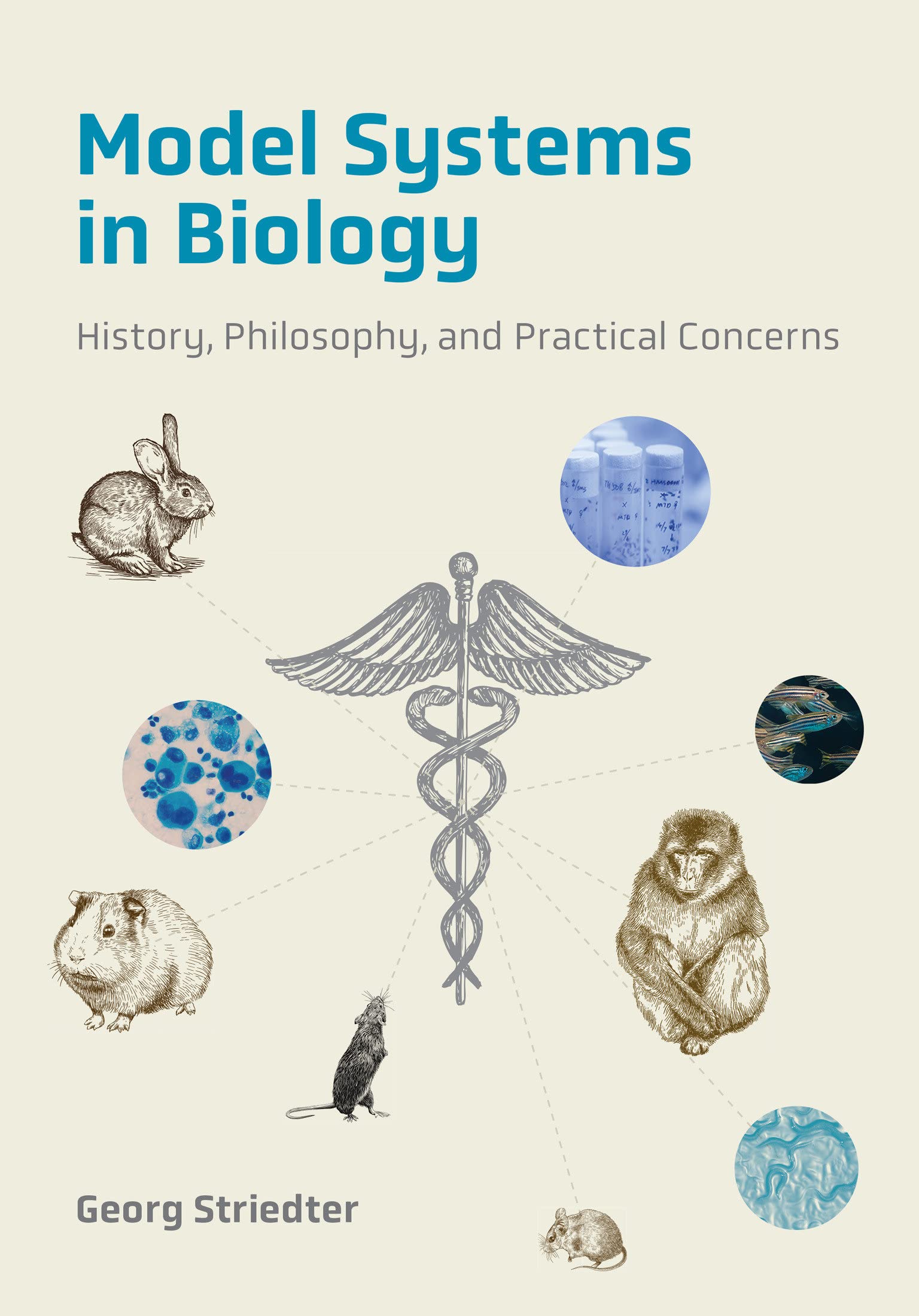 خرید و دانلود نسخه کامل کتاب Model Systems in Biology: History, Philosophy, and Practical Concerns_68e11036e6ddb.jpeg خرید و دانلود نسخه کامل کتاب Model Systems in Biology: History, Philosophy, and Practical Concerns