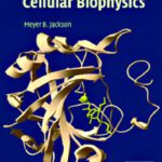 خرید و دانلود نسخه کامل کتاب Molecular and Cellular Biophysics