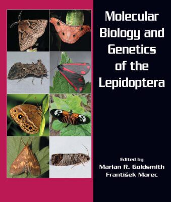 خرید و دانلود نسخه کامل کتاب Molecular Biology and Genetics of the Lepidoptera (Contemporary Topics in Entomology)