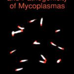 خرید و دانلود نسخه کامل کتاب Molecular Biology and Pathogenicity of Mycoplasmas