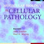 خرید و دانلود نسخه کامل کتاب Molecular Biology in Cellular Pathology