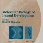 خرید و دانلود نسخه کامل کتاب Molecular Biology of Fungal Development (Mycology, 15)