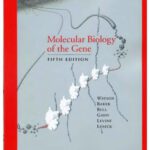 خرید و دانلود نسخه کامل کتاب Molecular Biology of the Gene