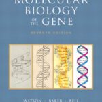 خرید و دانلود نسخه کامل کتاب Molecular Biology of the Gene
