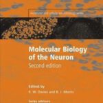 خرید و دانلود نسخه کامل کتاب Molecular Biology of the Neuron