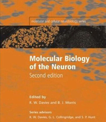 خرید و دانلود نسخه کامل کتاب Molecular Biology of the Neuron
