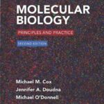 خرید و دانلود نسخه کامل کتاب Molecular Biology: Principles and Practice