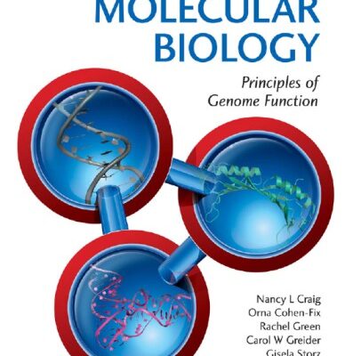 خرید و دانلود نسخه کامل کتاب Molecular Biology: Principles of Genome Function