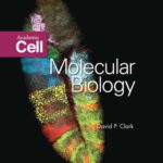 خرید و دانلود نسخه کامل کتاب Molecular Biology