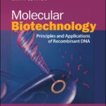 خرید و دانلود نسخه کامل کتاب Molecular Biotechnology: Principles and Applications of Recombinant DNA, 6th Edition