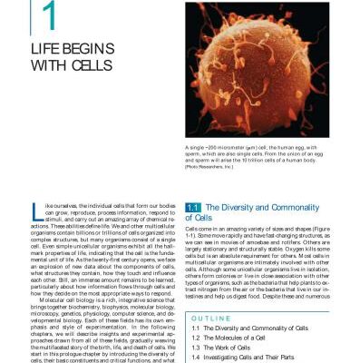 خرید و دانلود نسخه کامل کتاب Molecular cell biology