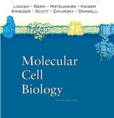 خرید و دانلود نسخه کامل کتاب Molecular Cell Biology