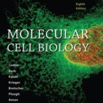 خرید و دانلود نسخه کامل کتاب Molecular Cell Biology