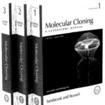 خرید و دانلود نسخه کامل کتاب Molecular Cloning: A Laboratory Manual