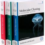 خرید و دانلود نسخه کامل کتاب Molecular Cloning: A Laboratory Manual