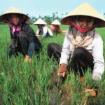 خرید و دانلود نسخه کامل کتاب Molecular Genetic Analysis and Biotechnology