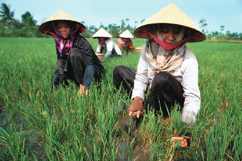 خرید و دانلود نسخه کامل کتاب Molecular Genetic Analysis and Biotechnology_68e3c2fe7cc9e.jpeg خرید و دانلود نسخه کامل کتاب Molecular Genetic Analysis and Biotechnology