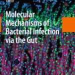 خرید و دانلود نسخه کامل کتاب Molecular Mechanisms of Bacterial Infection via the Gut