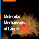 خرید و دانلود نسخه کامل کتاب Molecular Mechanisms of Cancer