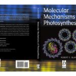 خرید و دانلود نسخه کامل کتاب Molecular Mechanisms of Photosynthesis