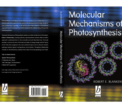 خرید و دانلود نسخه کامل کتاب Molecular Mechanisms of Photosynthesis
