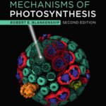 خرید و دانلود نسخه کامل کتاب Molecular Mechanisms of Photosynthesis