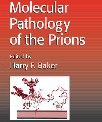 خرید و دانلود نسخه کامل کتاب Molecular Pathology of the Prions
