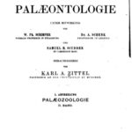 خرید و دانلود نسخه کامل کتاب Mollusca und Arthropoda