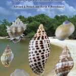 خرید و دانلود نسخه کامل کتاب Mollusks and Marine Environments of the Ten Thousand Islands