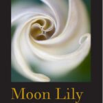 خرید و دانلود نسخه کامل کتاب Moon Lily: (a novel) (Western Literature Series)