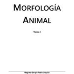 خرید و دانلود نسخه کامل کتاب Morfología Animal